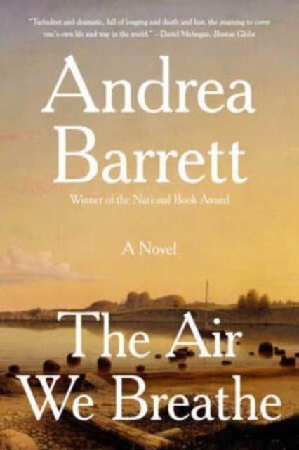 The Air We Breathe - A Novel