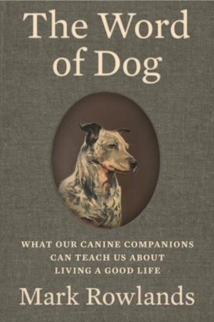 The Word of Dog - What Our Canine Companions Can Teach Us About Living a Good Life