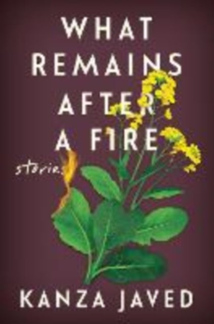 What Remains After a Fire - Stories