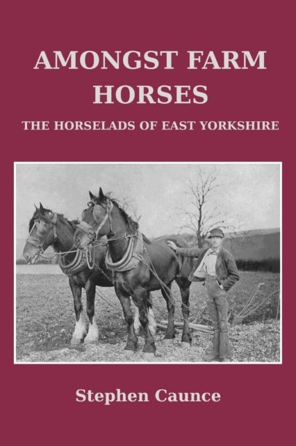 Amongst Farm Horses