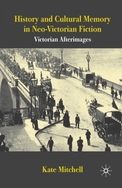 History and Cultural Memory in Neo-Victorian Fiction - Victorian Afterimages