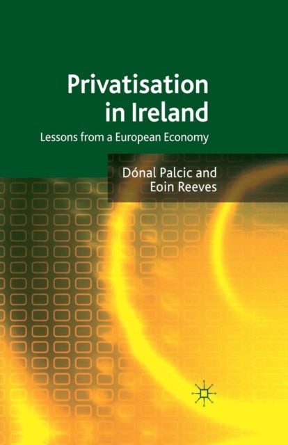 Privatisation in Ireland - Lessons from a European Economy