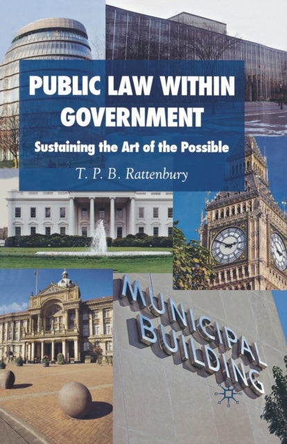 Public Law within Government - Sustaining the Art of the Possible