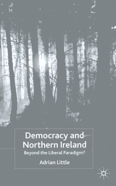 Democracy and Northern Ireland - Beyond the Liberal Paradigm?
