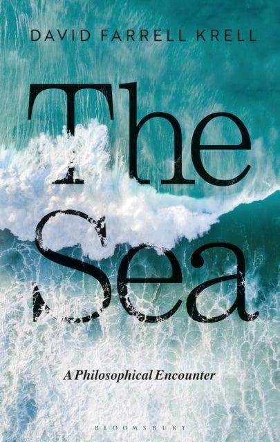 The Sea - A Philosophical Encounter