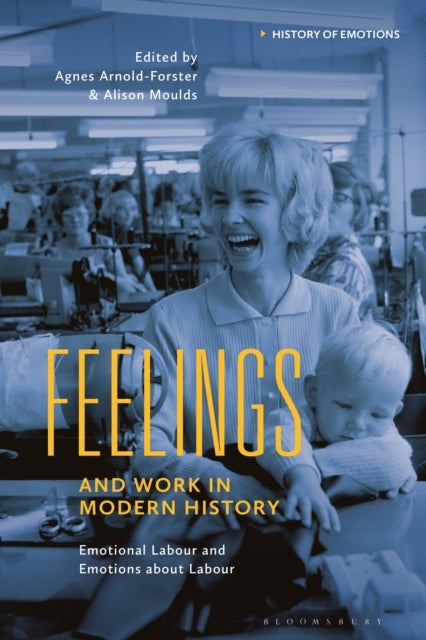 Feelings and Work in Modern History - Emotional Labour and Emotions about Labour