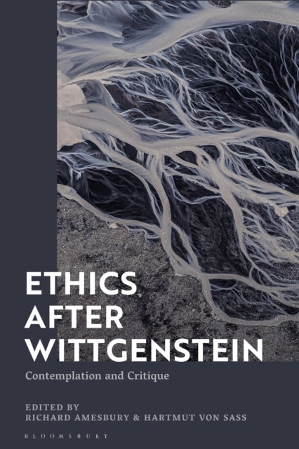 Ethics after Wittgenstein - Contemplation and Critique