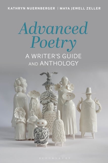 Advanced Poetry - A Writer's Guide and Anthology