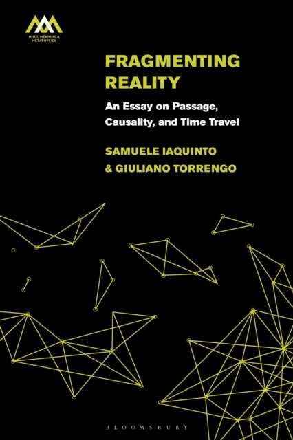 Fragmenting Reality - An Essay on Passage, Causality and Time Travel
