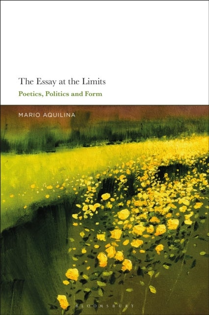 The Essay At the Limits - Poetics, Politics and Form