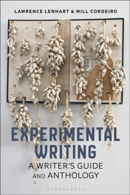 Experimental Writing - A Writer's Guide and Anthology