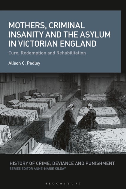 Mothers, Criminal Insanity and the Asylum in Victorian England - Cure, Redemption and Rehabilitation