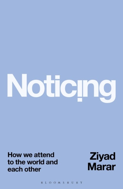 Noticing - How we Attend to the World and Each Other