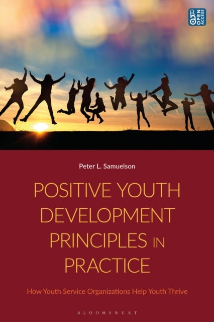 Positive Youth Development Principles in Practice - How Youth Service Organizations Help Youth Thrive