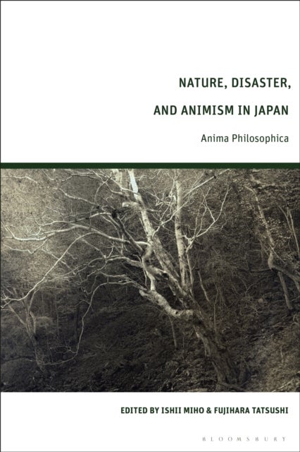Nature, Disaster, and Animism in Japan - Anima Philosophica