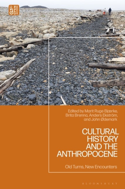 Cultural History and the Anthropocene - Old Turns, New Encounters