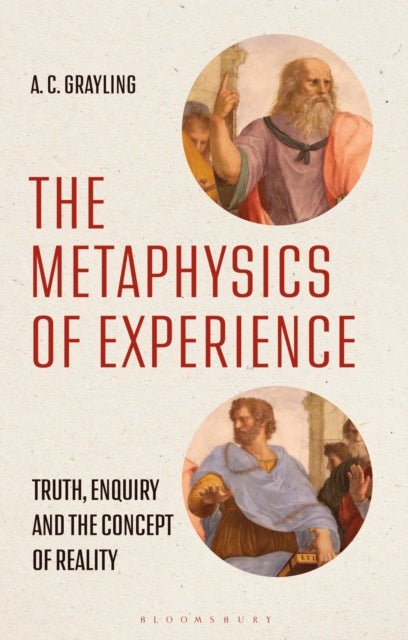 The Metaphysics of Experience - Truth, Enquiry and the Concept of Reality