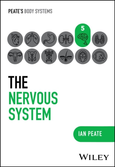 The Nervous System