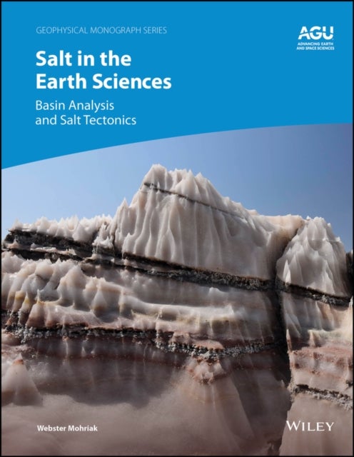 Salt in the Earth Sciences - Basin Analysis and Salt Tectonics