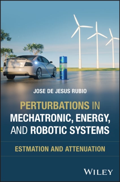 Perturbations in Mechatronic, Robotic, and Energy Systems - Estimation and Attenuation