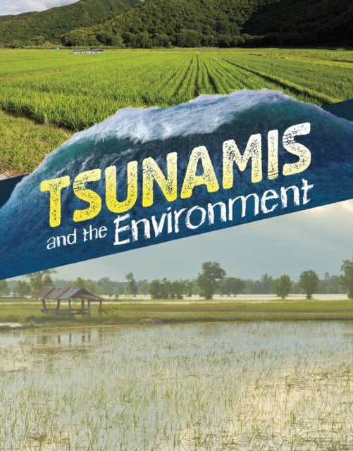 Tsunamis and the Environment