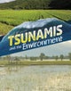 Tsunamis and the Environment