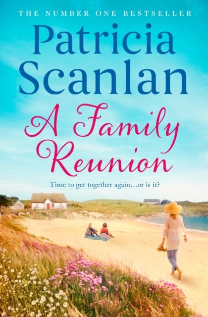 A Family Reunion - Warmth, wisdom and love on every page - if you treasured Maeve Binchy, read Patricia Scanlan