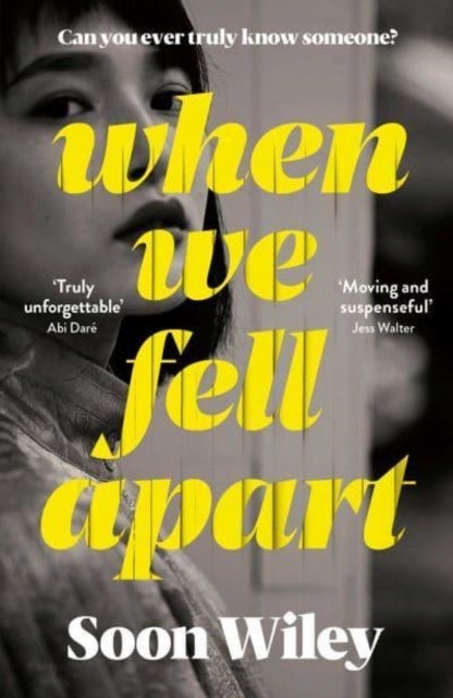 When We Fell Apart - 'Truly unforgettable' Abi Dare