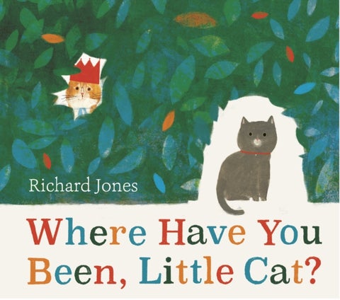 Where Have You Been, Little Cat? - A Sunday Times Children's Book of the Week