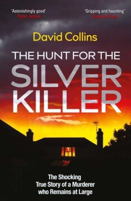 The Hunt for the Silver Killer - The Shocking True Story of a Murderer who Remains at Large