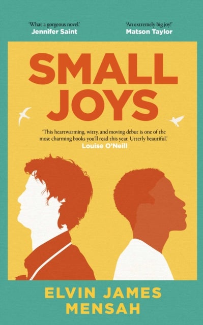 Small Joys - A Buzzfeed 'Amazing New Book You Need to Read ASAP'