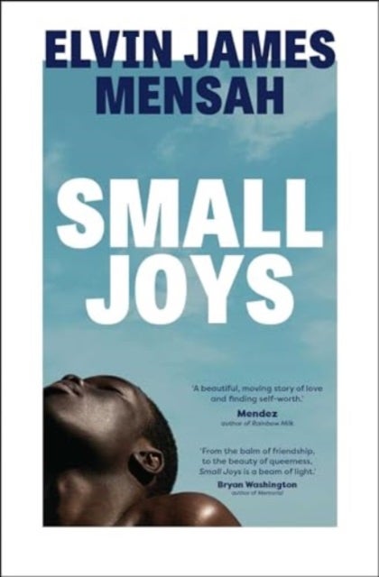 Small Joys - A Buzzfeed 'Amazing New Book You Need to Read ASAP'