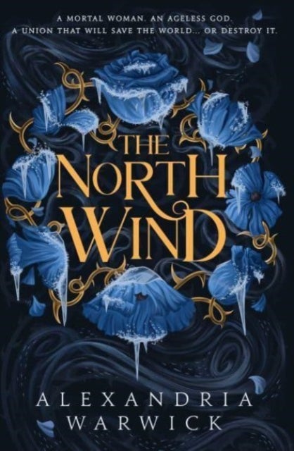 The North Wind - The TikTok sensation! An enthralling enemies-to-lovers romantasy, the first in the Four Winds series