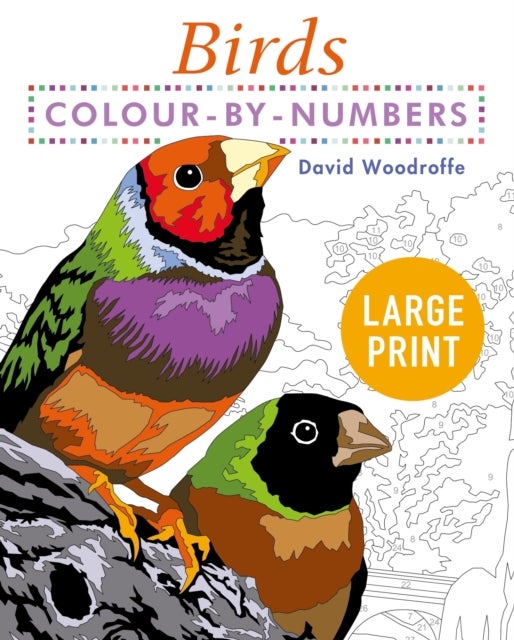Large Print Colour by Numbers Birds - Easy-to-Read