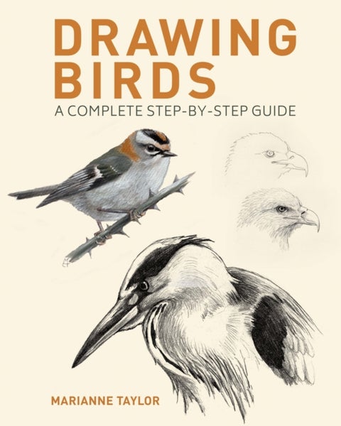 Drawing Birds - A Complete Step-by-Step Guide