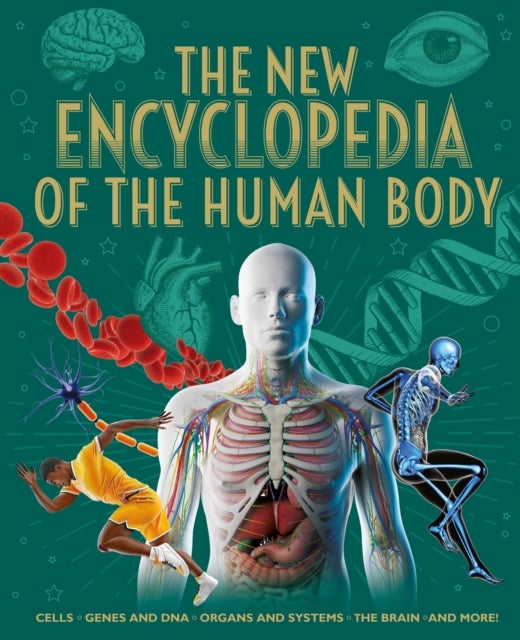 The New Encyclopedia of the Human Body - Cells, Genes and DNA, Organs and Systems, the Brain, and More!
