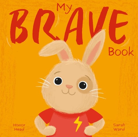 My Brave Book - A Picture Book on Understanding and Managing Emotions