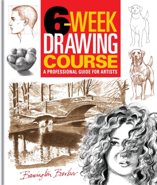 6-Week Drawing Course - A Professional Guide for Artists
