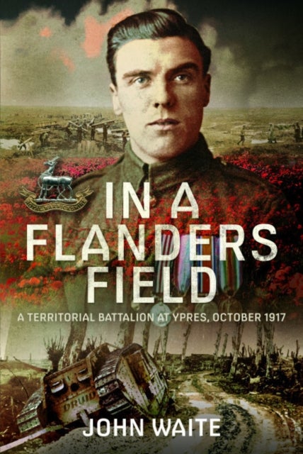 In A Flanders Field - A Territorial Battalion at Ypres, October 1917