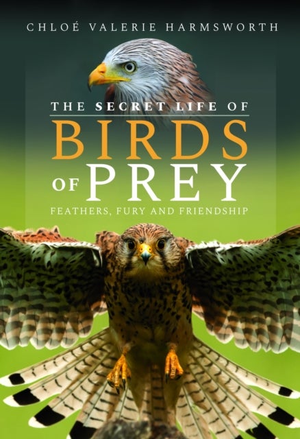 The Secret Life of Birds of Prey - Feathers, Fury and Friendship