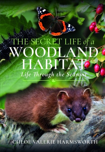 The Secret Life of a Woodland Habitat - Life Through the Seasons