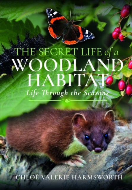 The Secret Life of a Woodland Habitat - Life Through the Seasons