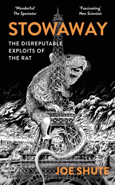 Stowaway - The Disreputable Exploits of the Rat – A NEW SCIENTIST NON-FICTION BOOK OF THE YEAR
