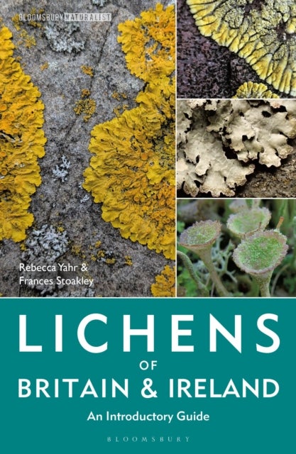 Lichens of Britain and Ireland - An Introductory Guide