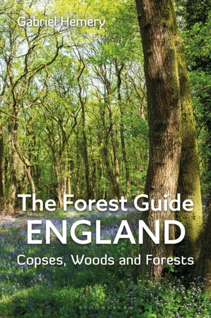 The Forest Guide: England - Copses, Woods and Forests of England