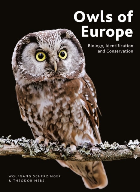 Owls of Europe - Biology, Identification and Conservation