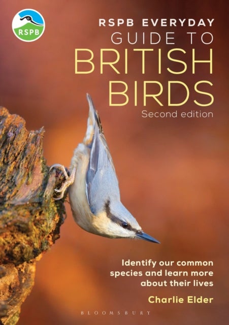 The RSPB Everyday Guide to British Birds - Identify our common species and learn more about their lives