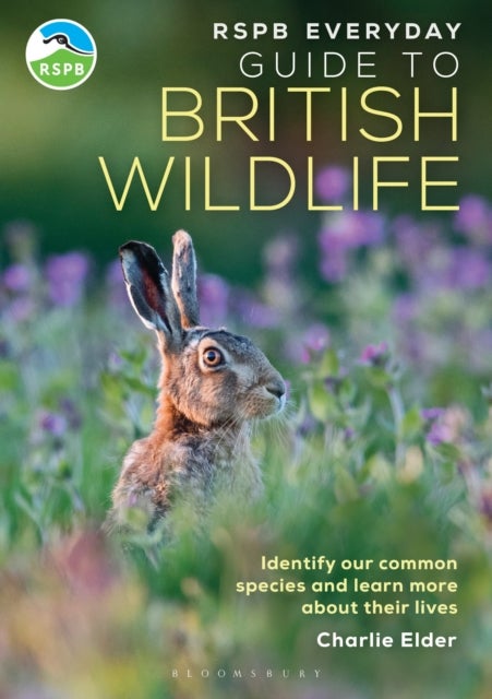 RSPB Everyday Guide to British Wildlife - Identify our common species and learn more about their lives