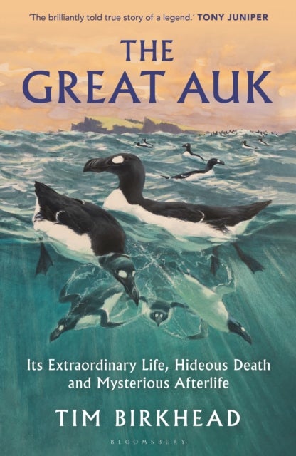 The Great Auk - Its Extraordinary Life, Hideous Death and Mysterious Afterlife - A DAILY TELEGRAPH BOOK OF THE YEAR