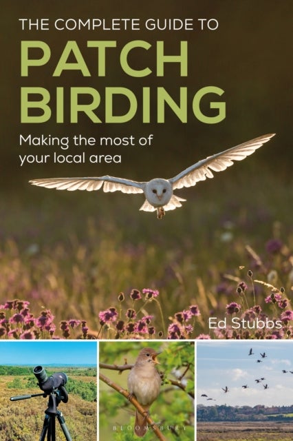 The Complete Guide to Patch Birding - Making the most of your local area